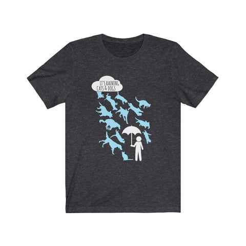 Image of Its raining cats and dogs